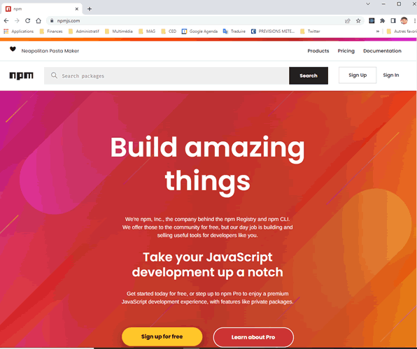 Le site du dépôt npm