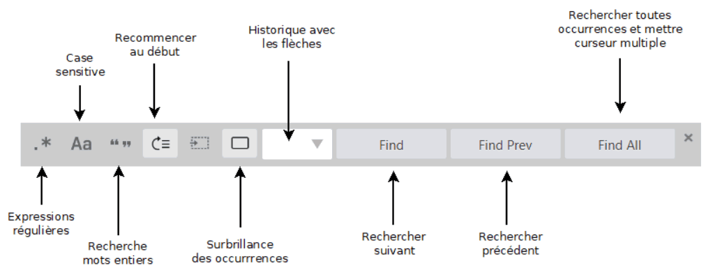 Options de la recherche